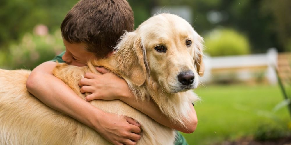 Pet Dies at Home - Boy Hugging Dog - Companions Haven Ltd