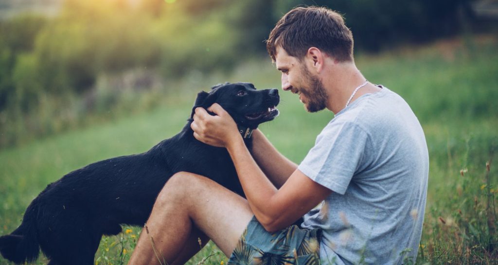 Dog Cremation Services - Black Dog with its Owner - Companions Haven Ltd