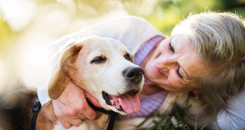 Dog Cremation Services - Dog and Owner - Companions Haven Ltd