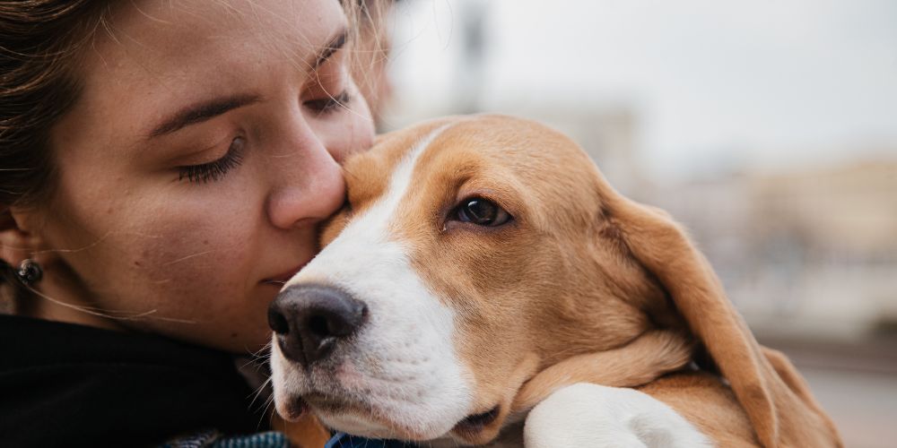 What Happens at a Pet Crematorium - dog receiving kiss from it's owner - Companions Haven Ltd
