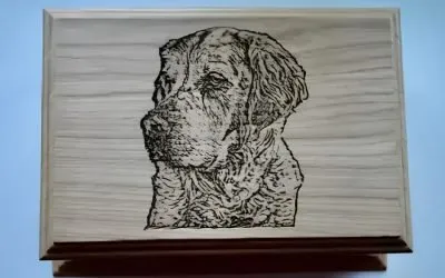 Choosing Personalised Pet Caskets and Urns for Your Beloved Pet
